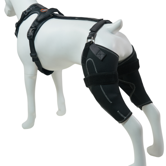 LISPOO Dog ACL Knee Braces