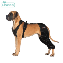 Lispoo Dog Double Hind Leg Brace for ACL Tear