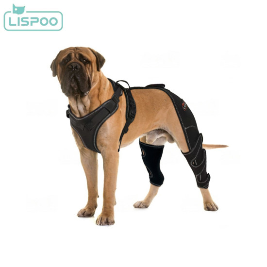 Lispoo Dog Double Hind Leg Brace for ACL Tear