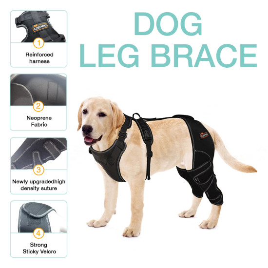 Lispoo Dog Double Hind Leg Brace for ACL Tear