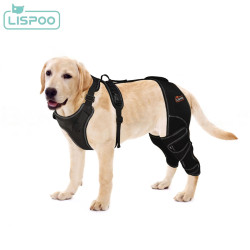 Lispoo Dog Double Hind Leg Brace for ACL Tear