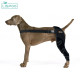 Lispoo Dog Double Hind Leg Braces for ACL