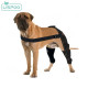 Lispoo Dog Double Hind Leg Braces for ACL