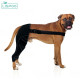 Lispoo Dog Double Hind Leg Braces for ACL