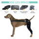 Lispoo Dog Double Hind Leg Braces for ACL