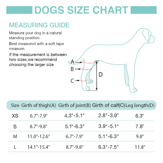 Lispoo Dog Double Hind Leg Braces for ACL