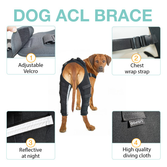 Dog Acl Braces Fix Joint Damage Knee Braces for Dogs