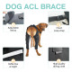 Dog Acl Braces Fix Joint Damage Knee Braces for Dogs