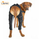 Dog Acl Braces Fix Joint Damage Knee Braces for Dogs