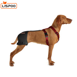 LISPOO Dog Hip Brace for Hip Dysplasia