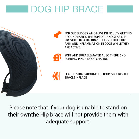 LISPOO Dog Hip Brace for Hip Dysplasia