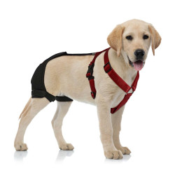 LISPOO Dog Hip Brace for Hip Dysplasia