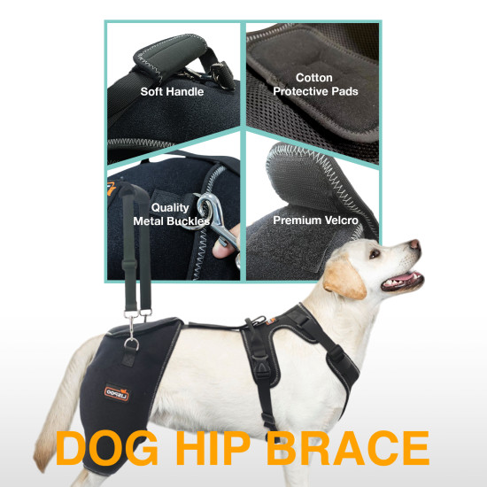 LISPOO Dog Hip Dysplasia Brace with Handle