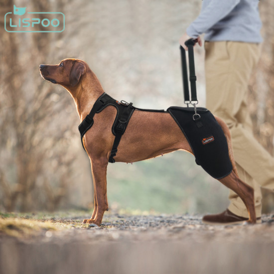 LISPOO Dog Hip Dysplasia Brace with Handle