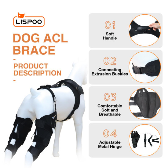 LISPOO Labrador Double Hind Leg Hinged Knee Braces For Torn ACL