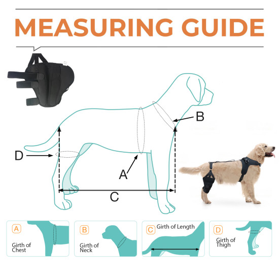 LISPOO Labrador Double Hind Leg Hinged Knee Braces For Torn ACL