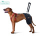 LISPOO Dog Hip Brace with Handle