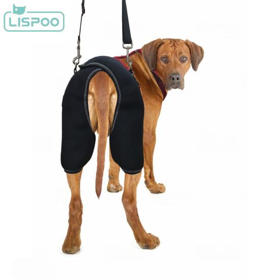 LISPOO Dog Hip Brace with Handle