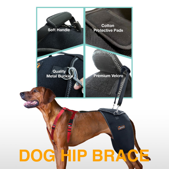 LISPOO Dog Hip Brace with Handle