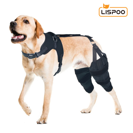 LISPOO Dog Knee ACL Brace With Metal Splint Hinged Flexible Support