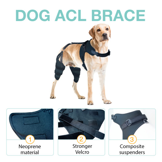 LISPOO Dog Knee ACL Brace With Metal Splint Hinged Flexible Support