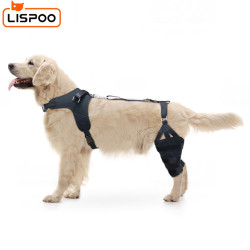 LISPOO Golden Retriever Double Hind Leg Hinged Knee Braces For Torn ACL