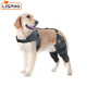 LISPOO Golden Retriever Double Hind Leg Hinged Knee Braces For Torn ACL