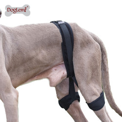 Dog Leg Braces For Hip Dysplasia