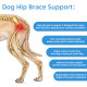 Dog Leg Braces For Hip Dysplasia