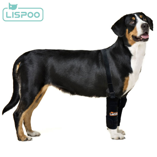 LISPOO Dog Wrist Brace for Sports Protection