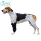 LISPOO Dog Wrist Brace for Sports Protection