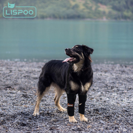 LISPOO Dog Wrist Brace for Sports Protection