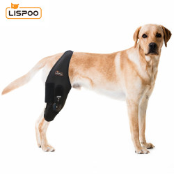 LISPOO Dog Knee Brace With Adjustable Hinge Stabilizer