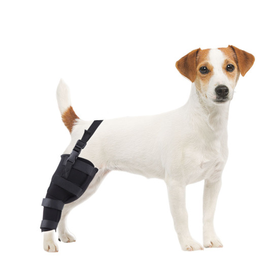 Dog Knee Braces For Back Legs