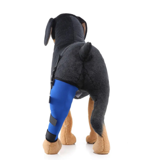 Dog Knee Braces For Back Legs