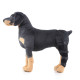 Dog Knee Braces For Back Legs