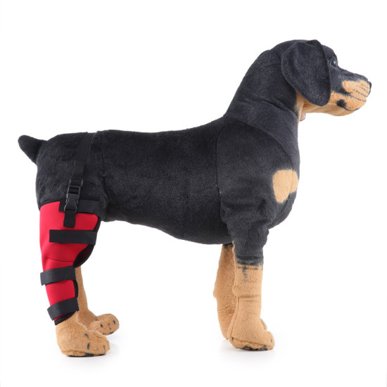 Dog Knee Braces For Back Legs