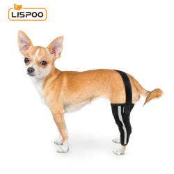 Chihuahua Leg Brace with Reflective Metal Support