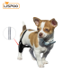 Chihuahua Leg Brace with Reflective Metal Support