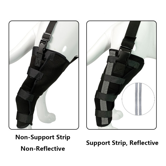 Chihuahua Leg Brace with Reflective Metal Support