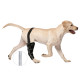 Dog Leg Brace with Reflective Metal Support