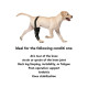 Dog Leg Brace with Reflective Metal Support