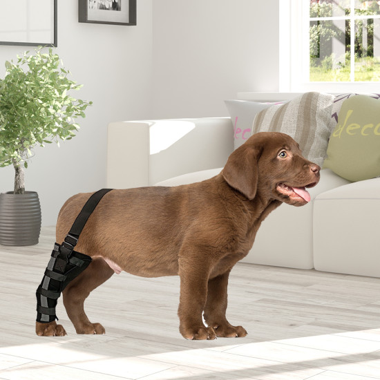 Dog Leg Brace with Reflective Metal Support