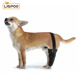 Chihuahua Luxating Patella Dog Brace