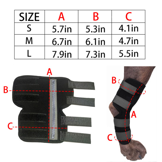 Dog Leg Braces for Fix Hock Sprains