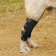 Dog Leg Braces for Fix Hock Sprains