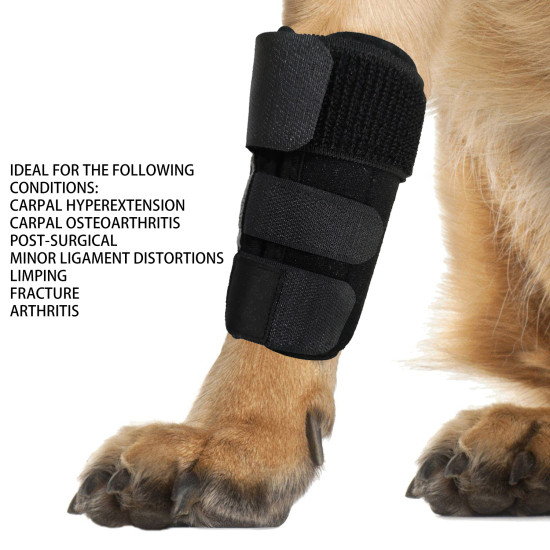 Dog Carpal Brace For Support