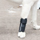 Dog Carpal Brace For Support