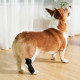 Dog Leg Brace for Fix Hock