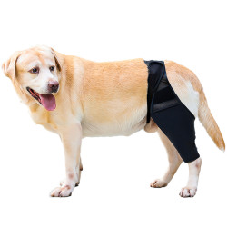 DOGLEMI Dog Rear Leg Brace for Fix Patella Dislocation